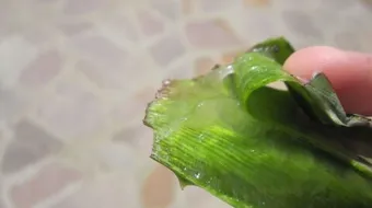 طريقة لإزالة البقع من الوجه