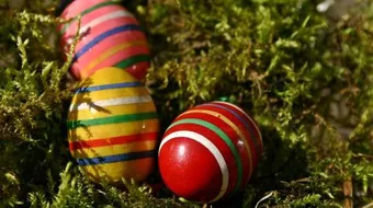 طرق تلوين البيض بالألوان الطبيعية