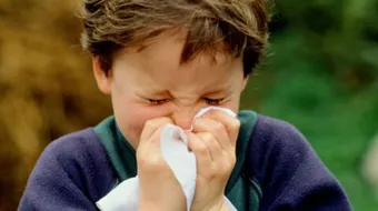 طرق علاج الزكام