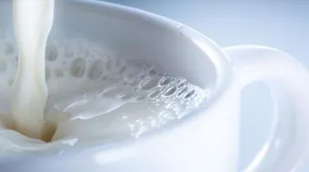 فوائد اللبن للجسم