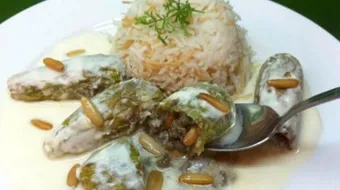 طريقة الكوسا باللبن