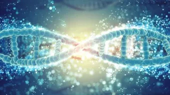 مم يتكون الكروموسوم