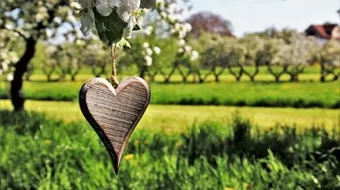 مسجات عن حب الصديق