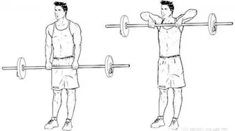 تمارين بناء العضلات