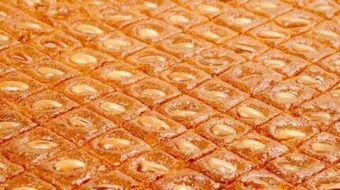 صناعة الهريسة