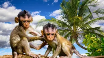 طرائف وعجائب عالم الحيوان