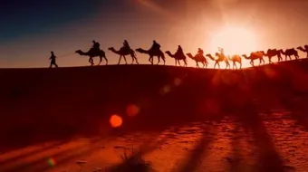 حكم قديمة وقوية