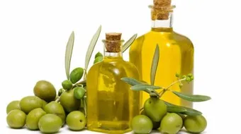 وصفات زيت الزيتون للشعر