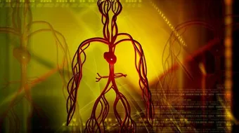 من أول من اكتشف الدورة الدموية