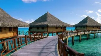 جزيرة بانكور