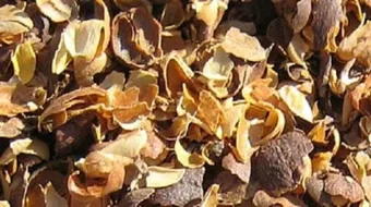 قهوة القشر للتنحيف