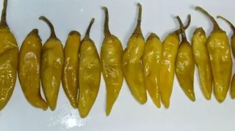 طريقة تخليل الفلفل