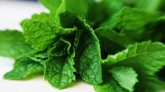 خواص عرق نعناع