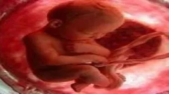 أطوار خلق الإنسان