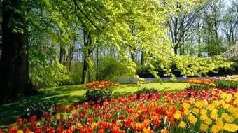 عبارات عن فصل الربيع