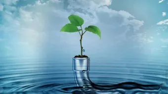 خصائص الماء الفيزيائية والكيميائية