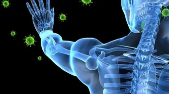 فسيولوجية التأق