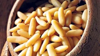 فوائد شجرة الصنوبر