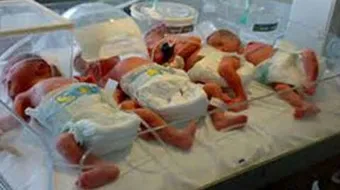 طفل الأنابيب