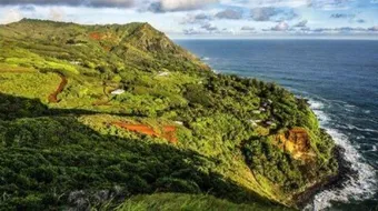 جزر بيتكيرن