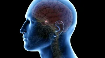 أمراض الغدة النخامية