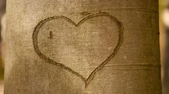 قصائد نزار قباني غزل