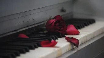 أشعار حب تعبر عن أحلى كلام