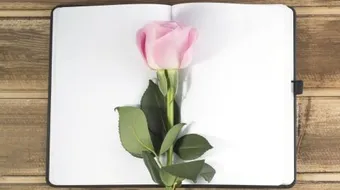 أشعار نزار قباني