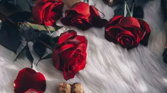 شعر عن الحب نزار قباني