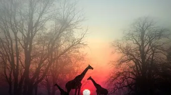 شعر عن الذكريات