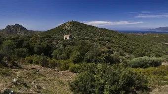 شعر عن الطبيعة