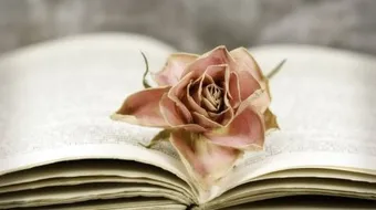 شعر عن هجرة الرسول