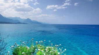 شعر عن الدنيا