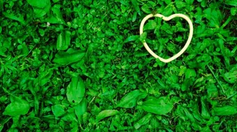 شعر عن الحب الحقيقي