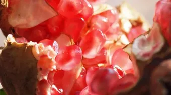 طريقة تقشير الرمان