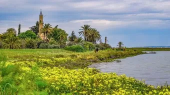 المحافظة على البيئة في الإسلام