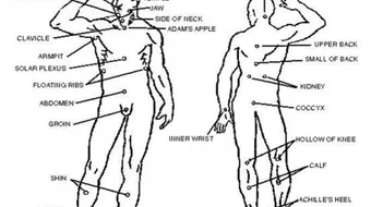نقاط الضغط في جسم الإنسان