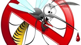 الوقاية من الملاريا