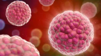 سرطان البروستاتا عند الرجال في الاردن