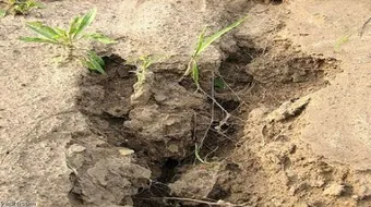 حماية التربة من التلوث