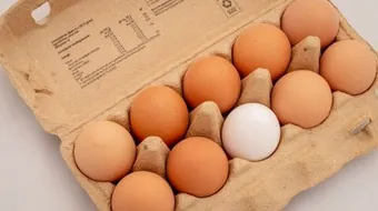 أطعمة غنية بالبروتين