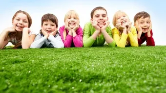 أمثال عن الصداقة