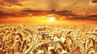 اجعلني على خزائن الارض