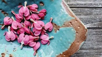 كلمات هادئة