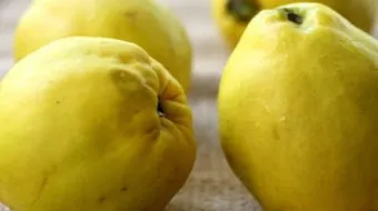 فوائد السفرجل للحامل والجنين