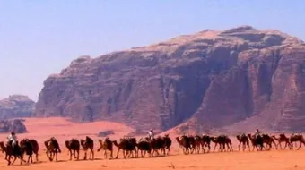 أسباب الهجرة إلى المدينة