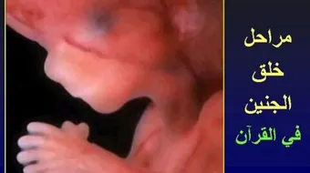 التفكر في خلق الإنسان