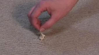 إزالة اللبان من الملابس