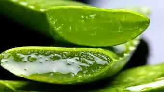 إزالة آثار الحروق القديمة بالأعشاب