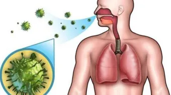 تقرير عن الجهاز التنفسي